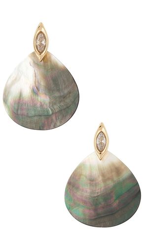 Shell Statement Earrings in - Ettika - Modalova
