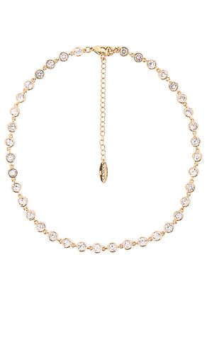 Ettika CZ Choker in Metallic Gold - Ettika - Modalova