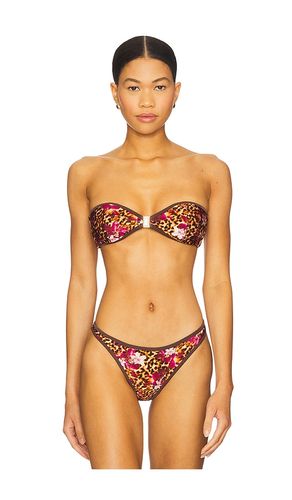 Tallara Bikini Top in Brown. - size L (also in M, S, XL) - FAE - Modalova