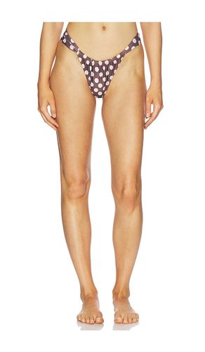 Andez Bikini Bottom in Brown. - size L (also in M, S, XL, XS) - FAITHFULL - Modalova