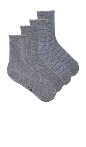 Happy Stripe 2-pack Sock in Grey. - size 5-7.5 (also in 8-10.5) - FALKE - Modalova