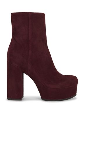 Rae Platform Boot in . Taglia 7. Also in 8.5, 9, 9.5, 10 - Favorite Daughter - Modalova