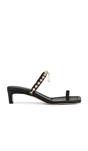 Aurora Sandal in . - size 6 (also in 6.5, 7, 7.5, 8, 8.5) - Freda Salvador - Modalova