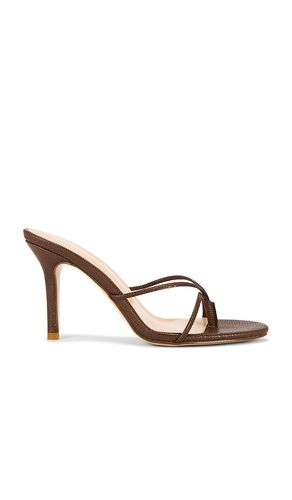 Sicilian Sandal in . Size 11, 5, 6, 7, 8, 9 - FEMME LA - Modalova