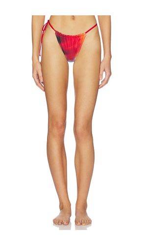 Bikini Bottom in Red,Blue. - size M (also in S, XS) - Feners - Modalova