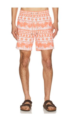 BADEHOSE BAYBERRY in . Größe S. Also in XL/1X - Fair Harbor - Modalova
