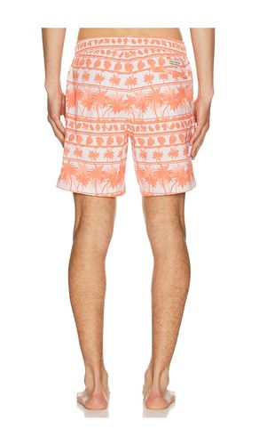 BADEHOSE BAYBERRY in . Größe S. Also in XL/1X - Fair Harbor - Modalova