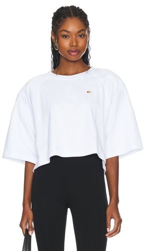 Cropped Padded T-shirt in . - size L (also in M, XL) - FIORUCCI - Modalova