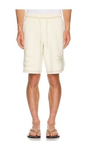 Breaking Bread Knit Short in . Size L. Also in M, S, XL/1X - Filling Pieces - Modalova