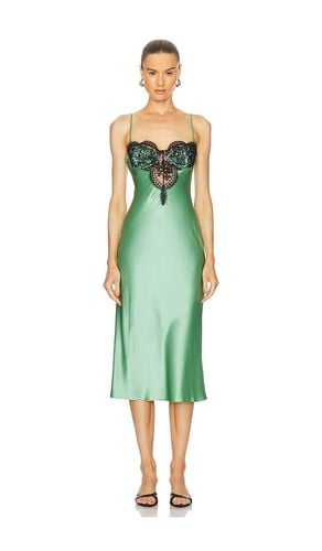 Frankie Lace Cupped Slip Dress in Green. - size L (also in M, S, XS) - fleur du mal - Modalova