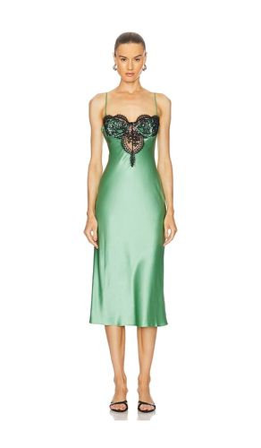 Frankie Lace Cupped Slip Dress in Green. - size L (also in XS) - fleur du mal - Modalova