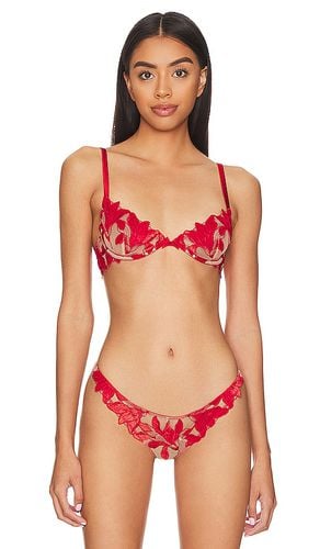 Velvet Lily Embroidery Demi Bra in Red. - size 36B (also in 36C, 38C) - fleur du mal - Modalova