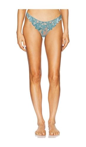 Velvet Lily Embrodiery Thong in Teal. - size 1 (also in 2, 3, 4) - fleur du mal - Modalova