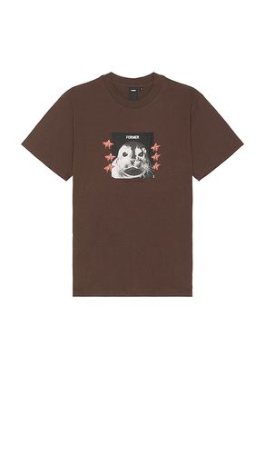 Pup Star T-Shirt in Brown. - size L (also in M, S) - FORMER - Modalova