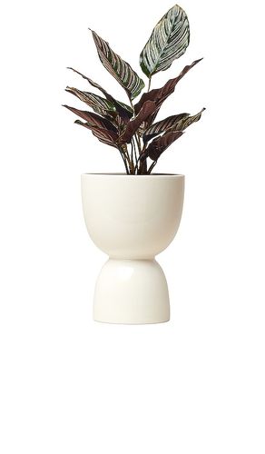 Medium stacked planter in color size all - Franca NYC - Modalova