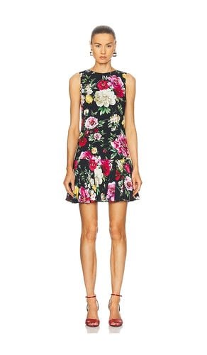 Dolce & Gabbana Floral Mini Dress in . Size - FWRD Renew - Modalova