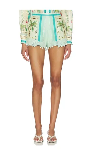 Tropical Glimpse Shorts in ,. Size M. Also in S, XS - Falguni Shane Peacock - Modalova