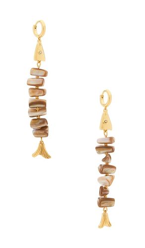 Fresh catch earrings in color metallic gold size all - Frasier Sterling - Modalova