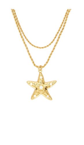 Sea Star Necklace in - Frasier Sterling - Modalova