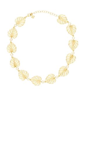 HALSKETTE BEVERLY in - Frasier Sterling - Modalova