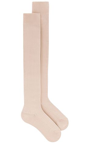 Calcetines por encima de la rodilla viola en color beige talla all en - Beige. Talla all - Free People - Modalova