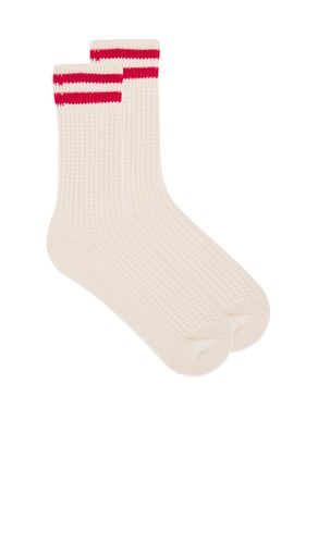 Jackson Cozy Stripe Socks in - Free People - Modalova