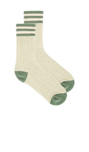 Jackson Cozy Stripe Socks in - Free People - Modalova