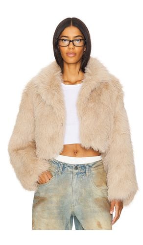 Paris Cropped Faux Fur Jacket In Sand in . Size M, S, XL, XS - Free People - Modalova