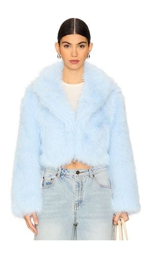 Paris Cropped Faux Fur Jacket In in Baby Blue. - size L (also in XS) - Free People - Modalova