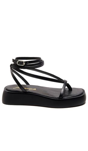 Winnie Wrap Platform Sandal in . Size 6, 6.5, 7, 7.5, 8, 8.5, 9, 9.5 - Free People - Modalova
