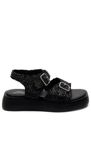 Tejer sandalia mandi en color talla 6 en - Black. Talla 6 (también en 9) - Free People - Modalova