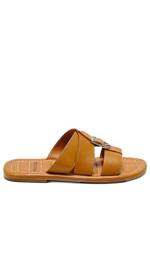 Sloan Buckle Sandal in Tan. - size 10 (also in 11, 6, 6.5, 7, 7.5, 8, 8.5, 9, 9.5) - Free People - Modalova