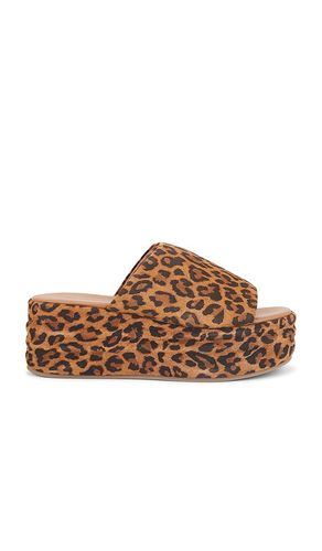 X REVOLVE Harbor Flatform Sandal in Brown. - size 36 (also in 36.5, 37, 37.5, 38, 38.5, 39, 39.5, 40) - Free People - Modalova