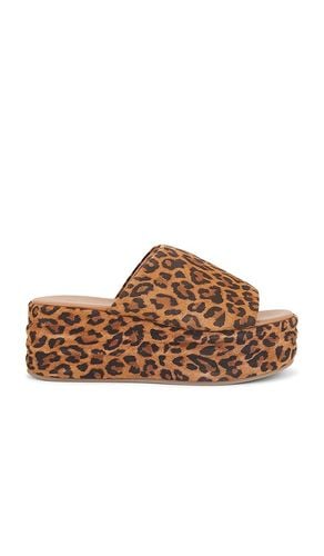 X REVOLVE Harbor Flatform Sandal in Brown. - size 36 (also in 36.5, 37, 37.5, 38, 38.5, 39.5) - Free People - Modalova