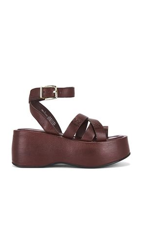 Hazel Flatform Sandal in Brown. - size 10 (also in 6.5, 7, 7.5, 8, 8.5, 9) - Free People - Modalova