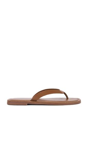 Sona Thong Sandal in Brown. - size 8 (also in 9) - Free People - Modalova