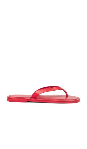 Sona Thong Sandal in Red. - size 10 (also in 7) - Free People - Modalova