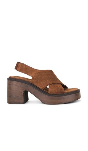 CLOGS CORA in . Größe 7.5. Also in 8.5, 9, 9.5 - Free People - Modalova