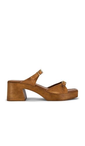 CLOGS BECK BUCKLE in . Größe 36. Also in 40 - Free People - Modalova