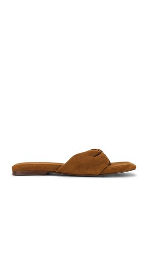 SANDALE TIA VEGAN SUEDE in . Größe 11. Also in 6, 8, 9 - Free People - Modalova