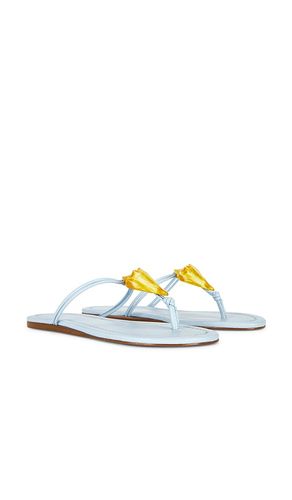 FLACHE SANDALEN SHELL in . Größe 6. Also in 6.5, 7, 7.5, 8, 8.5, 9 - FARM Rio - Modalova