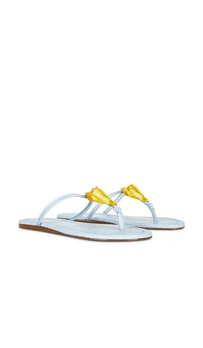Shell Flat Sandal in . Size 6. Also in 6.5, 7, 7.5, 8, 8.5, 9 - FARM Rio - Modalova