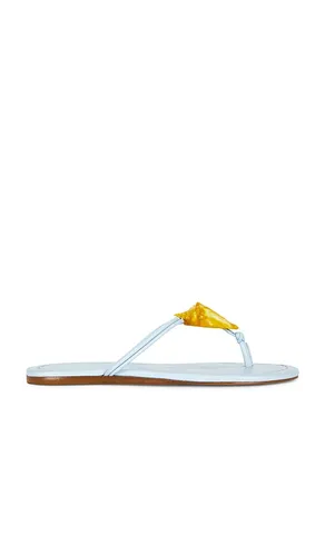 Shell Flat Sandal in . Size 6. Also in 6.5, 7, 7.5, 8, 8.5, 9 - FARM Rio - Modalova