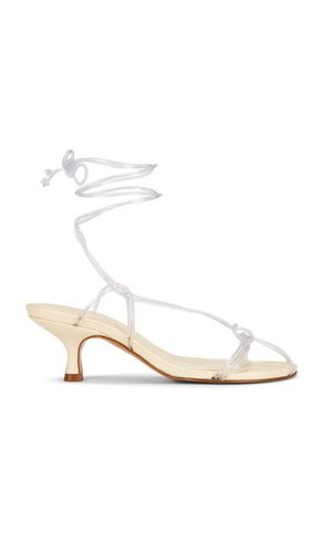 Spaghetti Jelly Kitten Heel in . Size 6. Also in 6.5, 7, 7.5, 8 - FARM Rio - Modalova
