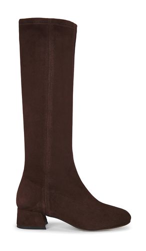 BOOT EDEN in . Größe 35. Also in 36, 37, 38, 39, 40 - Flattered - Modalova