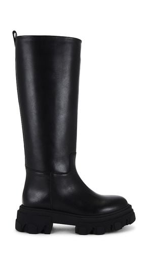 Perni 07 Boot in . - size 6 (also in 6.5, 7, 7.5, 8, 8.5, 9.5) - GIA BORGHINI - Modalova