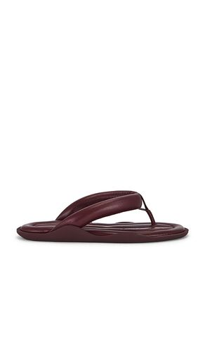 Harper Sandal in Wine. - size 36 (also in 37, 38, 40) - GIA BORGHINI - Modalova