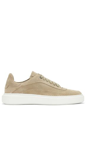 Modern London Low Top Sneaker in Tan. - size 7 (also in 8) - Good Man Brand - Modalova