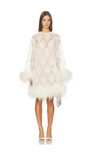 Feather Lace Mini Dress in - GIUSEPPE DI MORABITO - Modalova