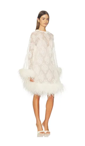 Feather Lace Mini Dress in - GIUSEPPE DI MORABITO - Modalova